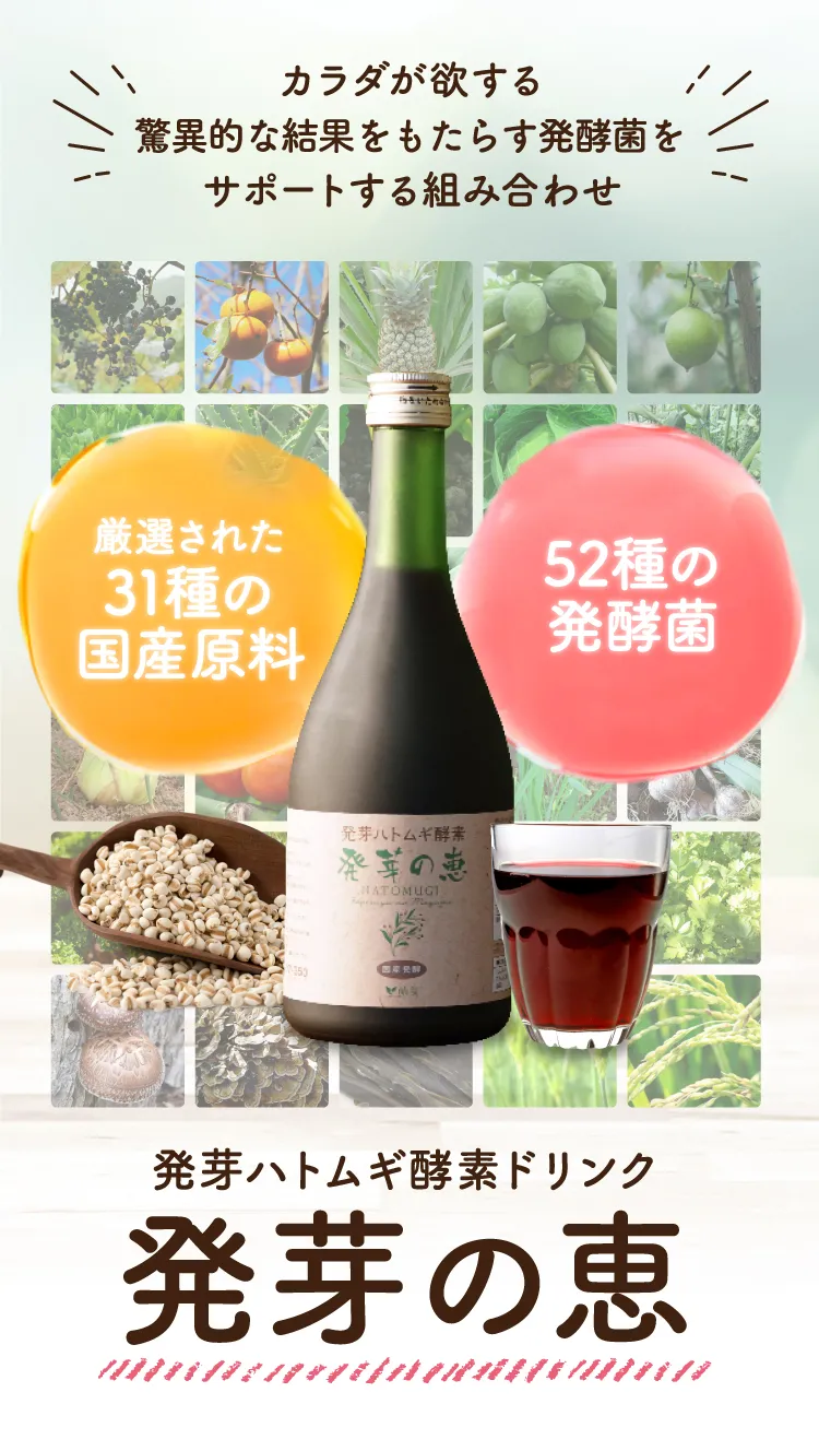 カラダが欲する驚異的な結果をもたらす発酵菌をサポートする組み合わせ