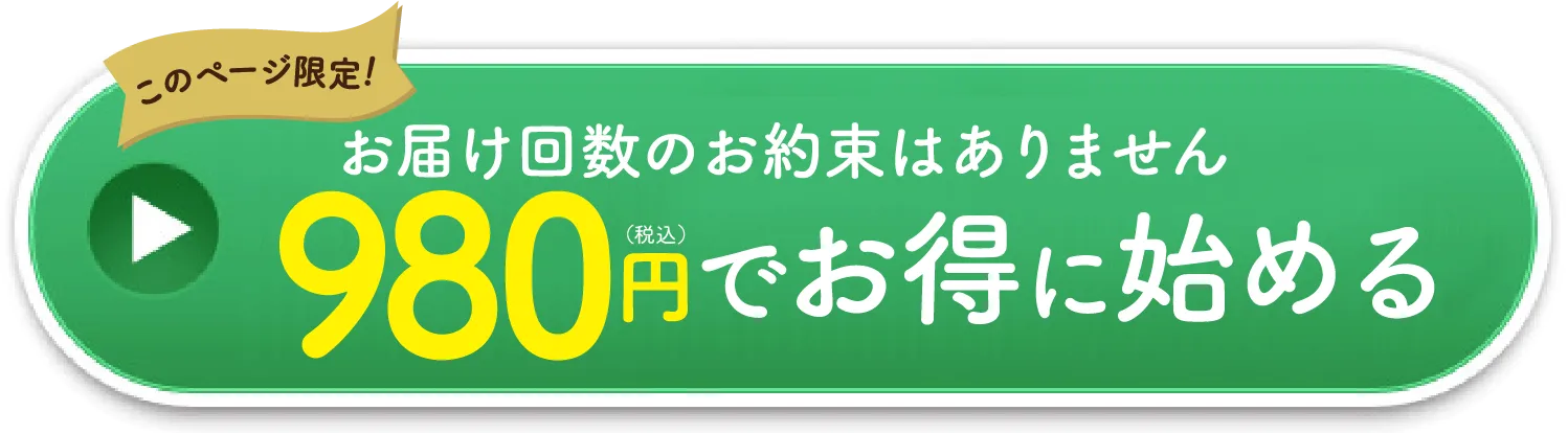 980円でお得に始める
