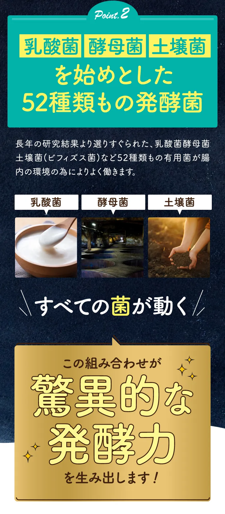 Point2 52種もの発酵菌