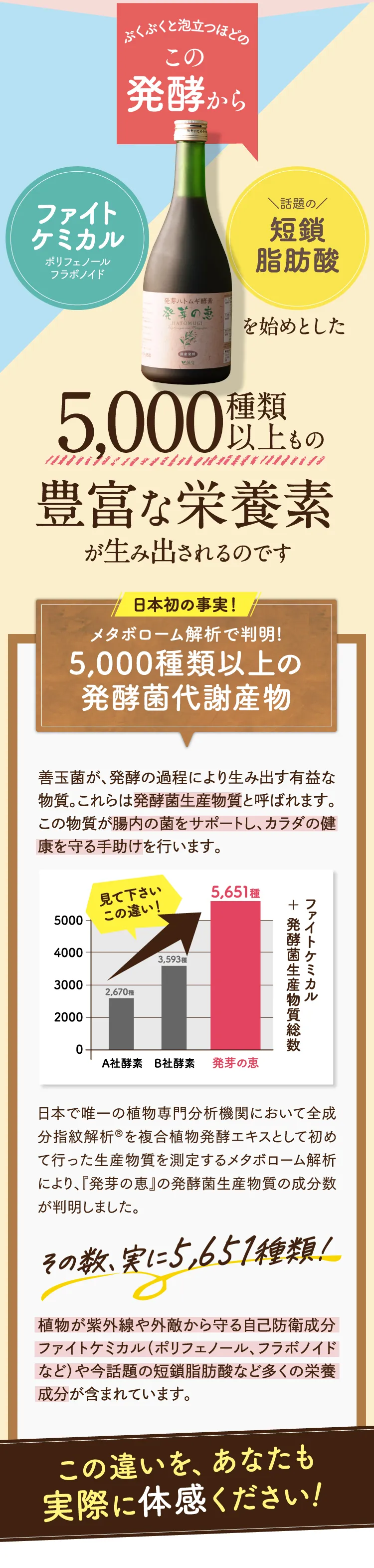 この発酵から5,000種類以上もの豊富な栄養素が生み出されるのです