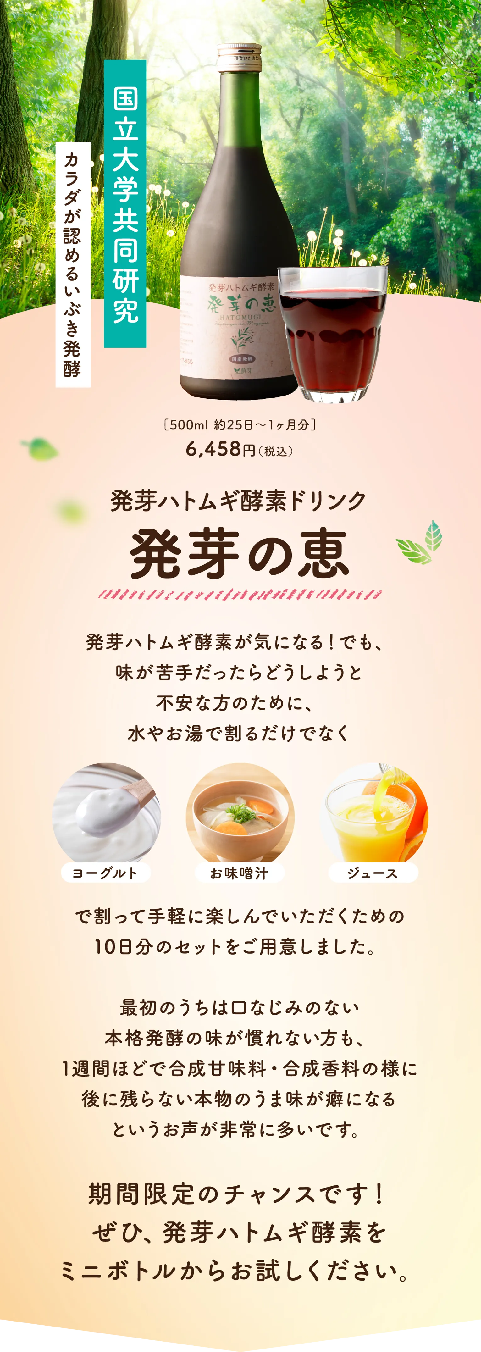 カラダが認めるいぶき発酵