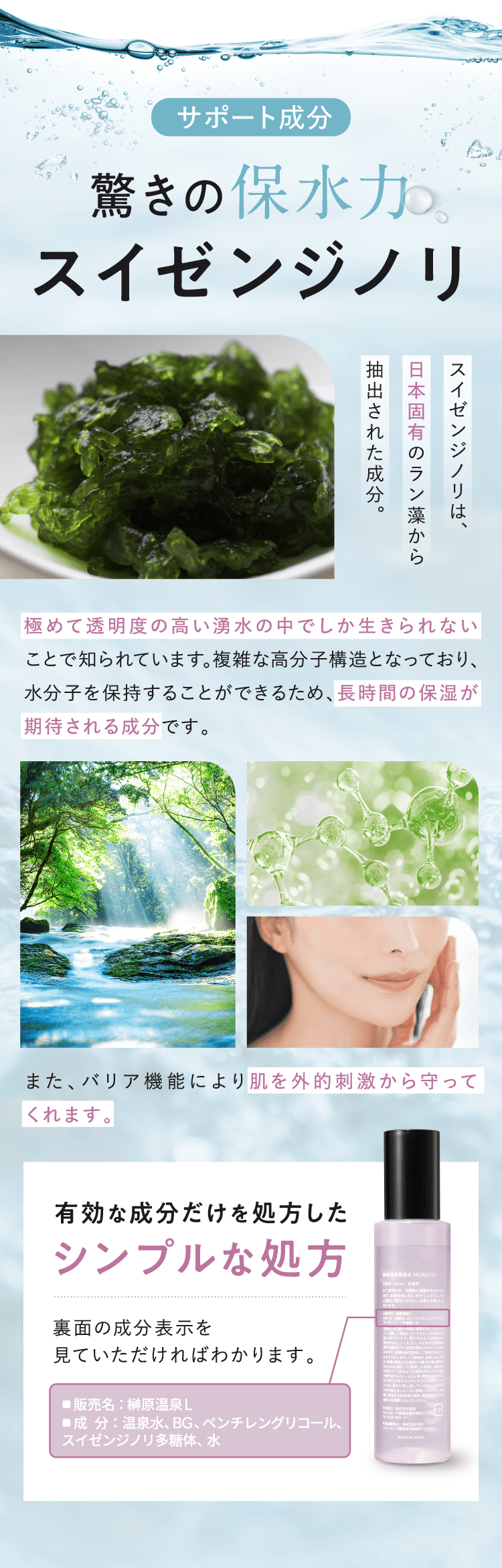 驚きの保水力 スイゼンジノリ